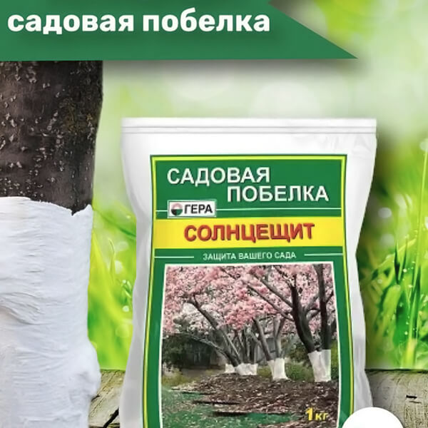 ПОБЕЛКА